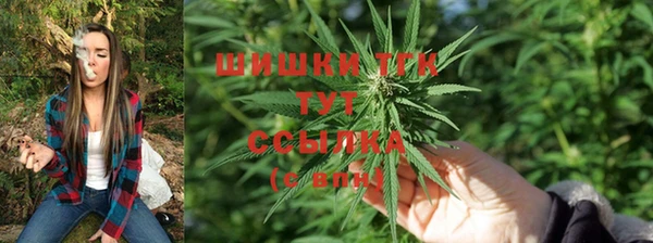 дживик Иннополис
